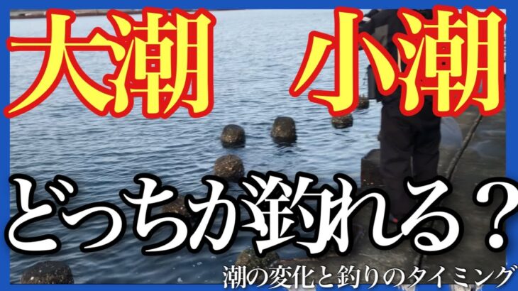 シーバス釣りで大事な潮の満ち引きと釣れる理由を解説