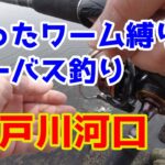 【江戸川河口】拾ったワーム縛りでシーバス釣り