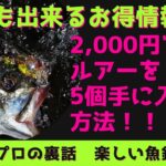 【ルアーフィッシング】￥2,000でルアーが5個！！お得にルアーをゲットする方法！！DUO　ジャンプライズ等　シーバス　ブラックバス　ルアー　ふるさと納税