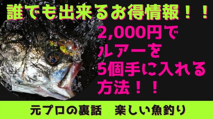 【ルアーフィッシング】￥2,000でルアーが5個！！お得にルアーをゲットする方法！！DUO　ジャンプライズ等　シーバス　ブラックバス　ルアー　ふるさと納税