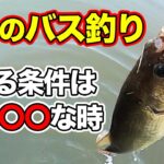 【バス釣り】4月春の攻略方法と考え方はコレ!!春からスポーニングに釣れる時期やルアーワームの狙うポイントも徹底解説!!【2022年最新版】【野池・川・ダム】【スポーニング産卵解説】