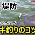 【サビキ釣り_初心者向け】釣りのコツ 〜5つの説明〜
