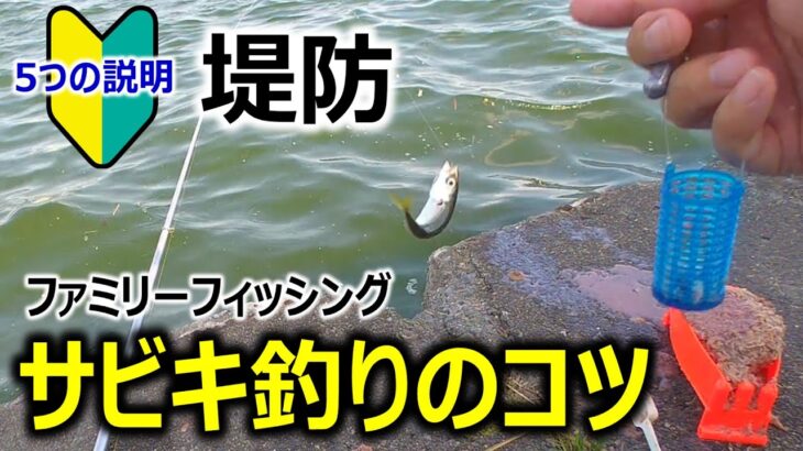 【サビキ釣り_初心者向け】釣りのコツ 〜5つの説明〜