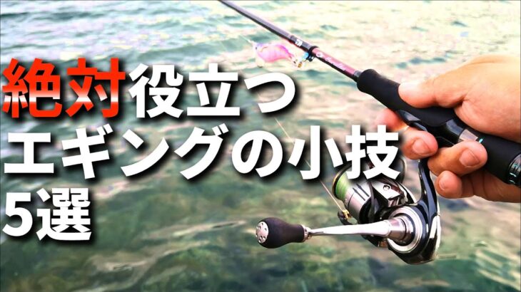 初心者必見！春イカ実戦で使える、目からウロコなエギングの小技を5つご紹介します。