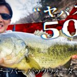 【バス釣り】“ヤバスト”で50UP捕獲！早春リザーバー攻略【ルアー合衆国プラス】