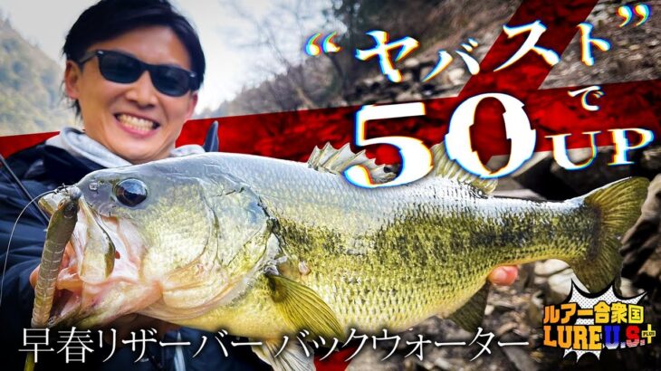 【バス釣り】“ヤバスト”で50UP捕獲！早春リザーバー攻略【ルアー合衆国プラス】