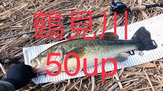 鶴見川　50upの狙い方[バス釣り　ブラックバス　バスフィッシング　横浜　]