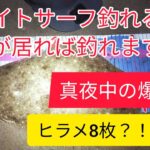 鹿島灘ナイトサーフ ヒラメ爆釣 8枚キャッチ