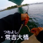 【釣り場動画#85】大都会のど真ん中にあるシーバスの巣窟、大阪の常吉大橋下は釣りに開放された楽しいポイント