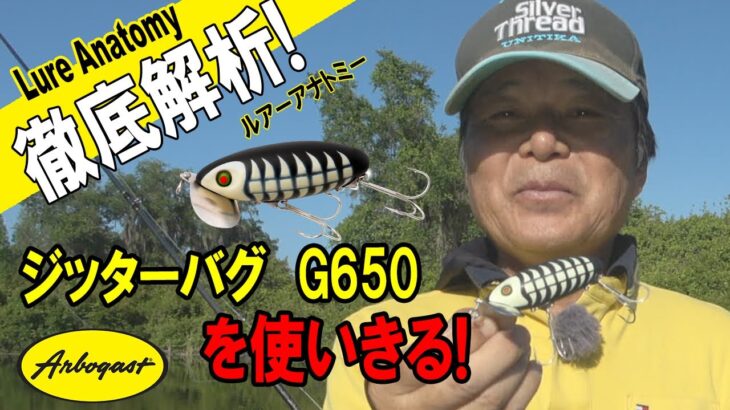 【ヒロ内藤流バス釣り】徹底解析アボガスト社ジッターバグG650を使い切る！【ノイジー】