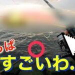 やっぱり○Jは釣れる… ［湾奥シーバス］#シーバス #釣り #VJ22