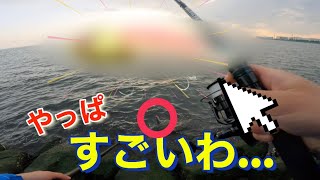 やっぱり○Jは釣れる… ［湾奥シーバス］#シーバス #釣り #VJ22