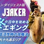 SOULJERKER#13 長崎県 九十九島エリア～真冬のデイエギングで低活性のアオリイカを攻略～