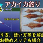 《アニメで解説：【アカイカ釣り】の釣果UPのコツ》【しゃくり方】、アタリの出かた、投入方法等の釣り方をアニメで詳しく解説。【アカイカ】のおすすめのスッテも紹介。【船】、【沖釣り】に関する動画です。