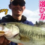 釣れる！春バスルアーの選び方。釣果に差がつくワカサギパターン攻略テク【高滝湖 by 折金一樹】