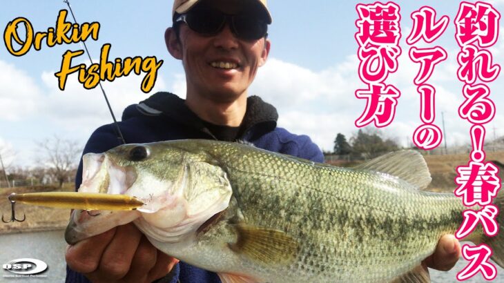 釣れる！春バスルアーの選び方。釣果に差がつくワカサギパターン攻略テク【高滝湖 by 折金一樹】