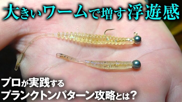 アジングで釣れない時こそデカいワームの浮遊感。渡邉長士流のプランクトンパターン攻略