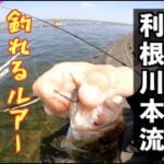 利根川本流 バス釣り 日中でも釣れるルアー【狙い目ポイント】