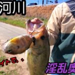 【バス釣り】春のビッグベイト炸裂！！福岡河川のスケベな淫乱奥様が、、♥️【今川】【遠賀川】【ブラックバス】【ギルロイド】【イマカツ】【ブラックバス】【外来魚】【外来種】