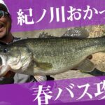 気難しい春のバスを攻略！紀の川おかっぱり / 秦拓馬【バス釣り】