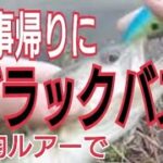 【山口県宇部市】仕事帰りにブラックバス【百均ルアー】