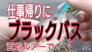 【山口県宇部市】仕事帰りにブラックバス【百均ルアー】