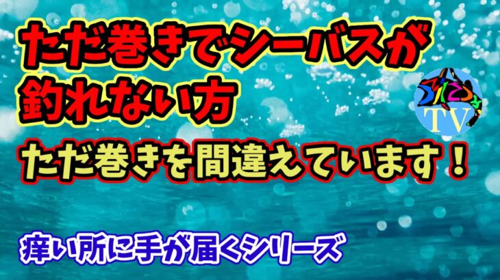 ただ巻きでシーバスが釣れない誰も教えてくれない間違い教えます！【初心者】必見