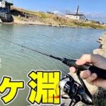 【バス釣り】春の油ヶ淵で定番ルアーを投げたら・・・