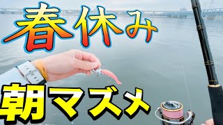 【シーバス釣り】学生の特権、春休みを使って、東京湾奥河川のデイゲームシーバスを狙う！