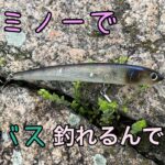 【旧吉野川水系】チニングタックルでプリスポーンを釣ります。【ブラックバス】