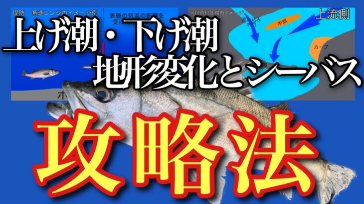 シーバスの上げ潮下げ潮の釣り方地形変化と釣りのタイミング「上げ潮編」