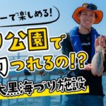 釣り公園でイカ釣りをやってみよう～大黒海づり施設でコウイカの釣り方を紹介します！～