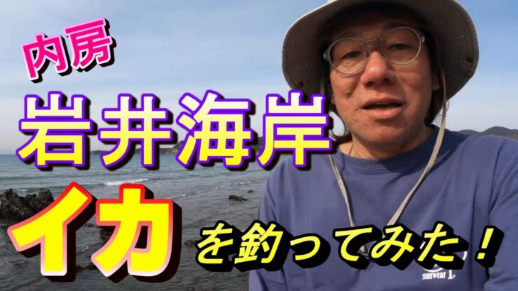 【岩井海岸・イカ釣り】高崎漁港からイカをねらってみたら！アオリイカやモンゴウイカのエギング＆ティップラン