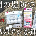 【昼間から良型のアジが連発！】ダイソーアイテムで組んだ100均ぶっこみサビキ釣りの紹介をします