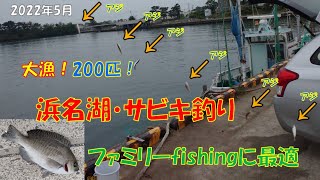 爆釣！半日で200匹！浜名湖サビキ釣り～アジ・イワシ・サバ・サッパ～