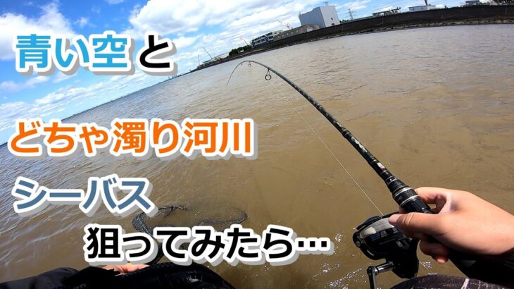 青い空とどちゃ濁り河川 シーバス狙ってみたら…【2022年4月30日】