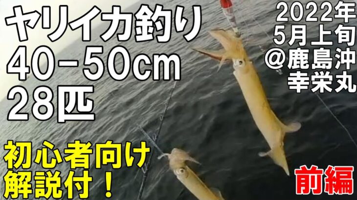 【初心者向け解説付】ヤリイカ釣り多点掛け連発好調！2022年5月上旬@鹿島沖 幸栄丸 前編 仕掛けや追い乗りさせる方法