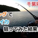 千葉県南房 エギングで巨大イカ狙ってみた結果…【2022年5月2日】