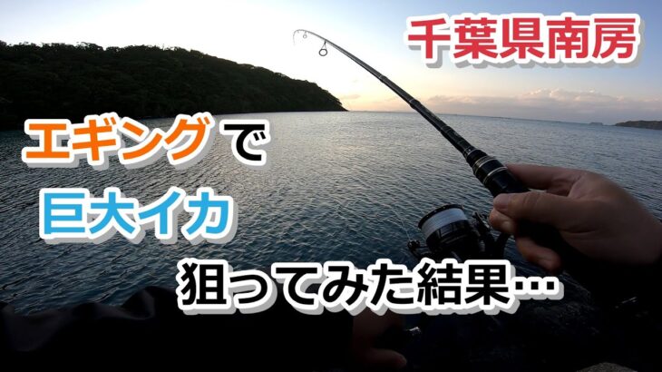 千葉県南房 エギングで巨大イカ狙ってみた結果…【2022年5月2日】