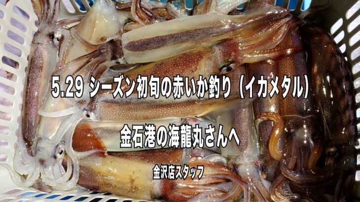 22 05 29　初旬の赤イカ釣りイカメタル　金石港の海龍丸さんへ