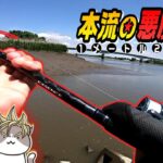 筑後川本流の悪魔！シーバス釣ってたらモンスターサイズと超ドッカンバトル！【22ステラ/リバーシーバス/エツ】