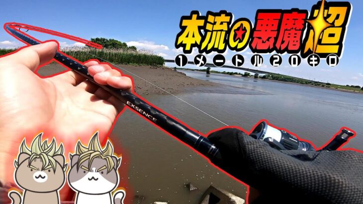 筑後川本流の悪魔！シーバス釣ってたらモンスターサイズと超ドッカンバトル！【22ステラ/リバーシーバス/エツ】