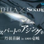 【シマノ】22ステラ✕ソアレ　エキスパートのアジングを追う　丹羽喜嗣　in　長崎県壱岐