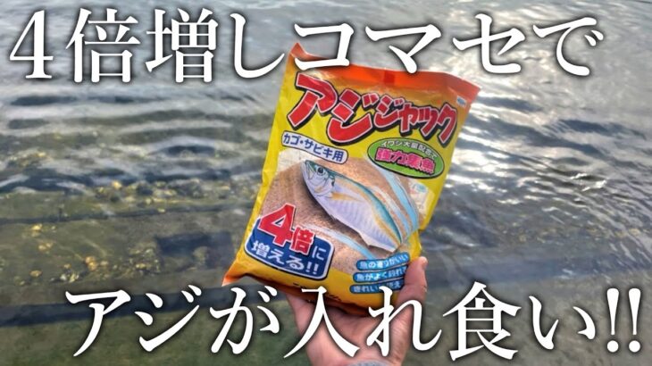 4倍に増えるコマセでアジが入れ食い！アジジャックを使った軽量ぶっこみサビキ釣りを紹介します！