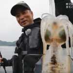 【釣り百景】#437 鹿児島県南さつま 沖磯エギング  春先の大型アオリイカを狙う！