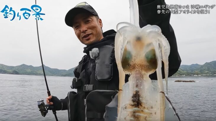 【釣り百景】#437 鹿児島県南さつま 沖磯エギング  春先の大型アオリイカを狙う！