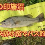 【中央排水路】5月の印旛沼！ブラックバス釣り♪