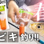 春は【サビキ釣り】で決まり！！釣り入門にGOODなシーズン到来！（堤防釣り、アジ釣り、エサの購入の仕方）