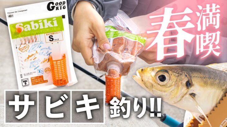 春は【サビキ釣り】で決まり！！釣り入門にGOODなシーズン到来！（堤防釣り、アジ釣り、エサの購入の仕方）