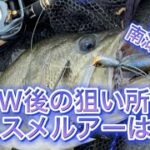 【琵琶湖バス釣り】GW後の琵琶湖！狙い所とオススメルアーは！？【レイドジャパン】